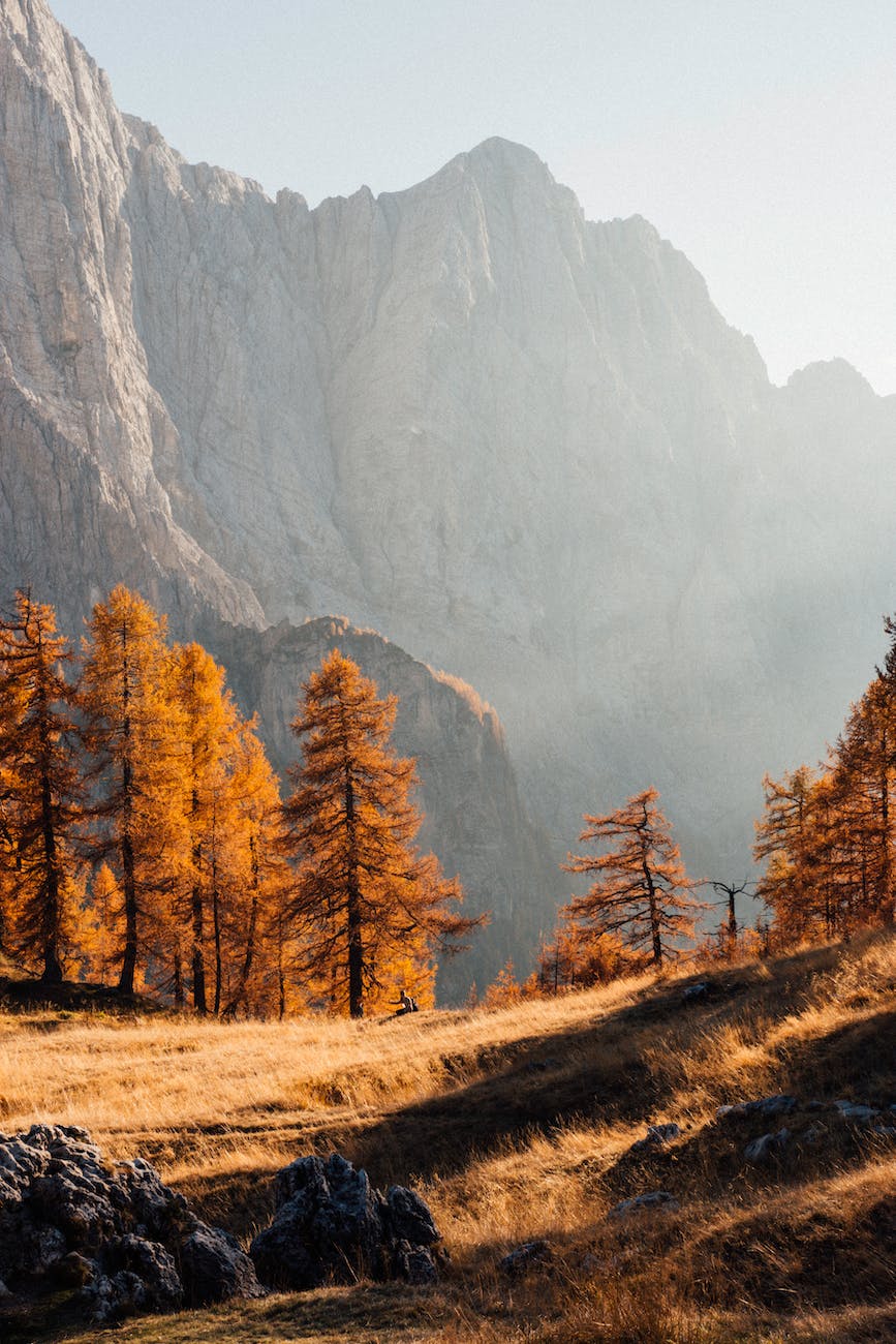 Title: Embrace the September Energy Update: Integration, Centering, Emotion Awareness, and&nbsp;Manifestation