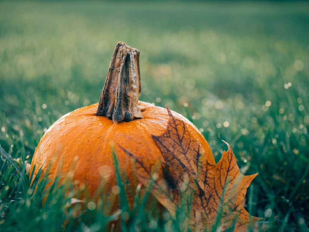 “Navigating October Energy: Embrace the Purity Wave for Inner Transformation”