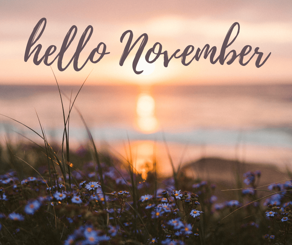 “November Energy Update: Nurturing Your Inner World and Pursuing Stability”